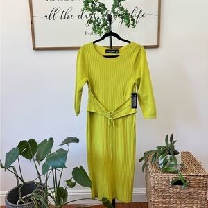 Beautiful Gabrielle, Union, New York and Company lime Green body con dress